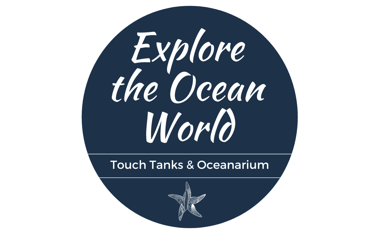 Explore the Ocean World! A Hands-on Marine Experience on the Beach